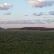 P1030312.jpg