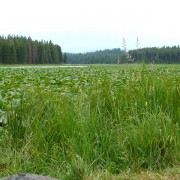 P1040330.jpg