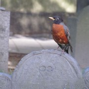 IMG0134.jpg