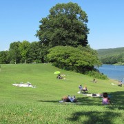 IMG0266.jpg