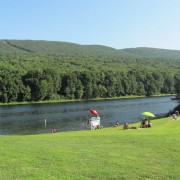 IMG0270.jpg