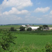 IMG0324.jpg