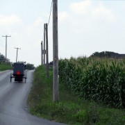 IMG0328.jpg