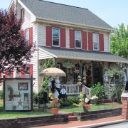 IMG0345.jpg