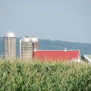 IMG0372.jpg