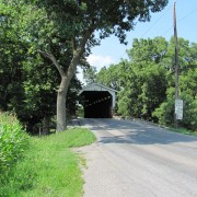 IMG0374.jpg