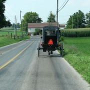 IMG0377.jpg