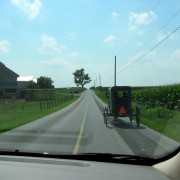 IMG0379.jpg