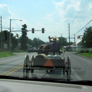 IMG0381.jpg