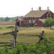 IMG0561.jpg