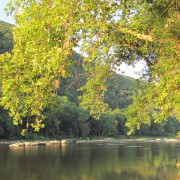 IMG0696.jpg