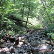IMG0772.jpg