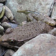 IMG0773.jpg