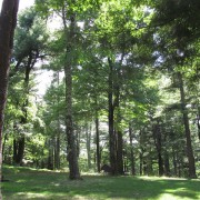 IMG0791.jpg