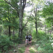 IMG0798.jpg