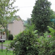 IMG0889.jpg