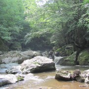 IMG0935.jpg