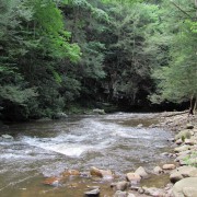 IMG0952.jpg