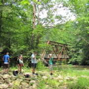 IMG0959.jpg