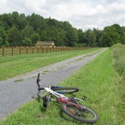 IMG0980.jpg
