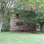 IMG1007.jpg