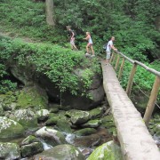 IMG1056.jpg