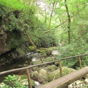 IMG1060.jpg