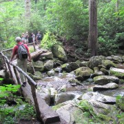 IMG1076.jpg