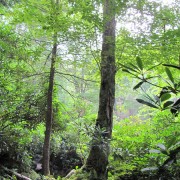 IMG1085.jpg