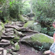 IMG1086.jpg