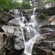 IMG1089.jpg