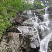 IMG1091.jpg