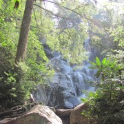 IMG1134.jpg