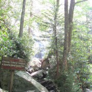IMG1135.jpg