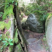 IMG1137.jpg