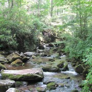 IMG1144.jpg