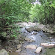 IMG1181.jpg