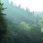 IMG1183.jpg