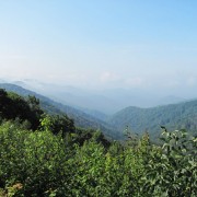 IMG1193.jpg