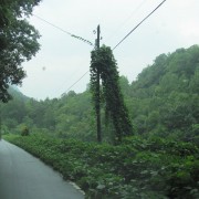 IMG1226.jpg
