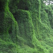 IMG1230.jpg