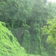 IMG1231.jpg