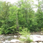IMG1236.jpg