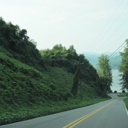 IMG1284.jpg
