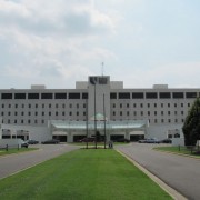 IMG1309.jpg