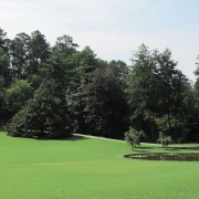 IMG1375.jpg