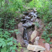 IMG1441.jpg