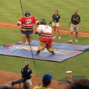 IMG1517.jpg