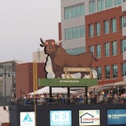 IMG1519.jpg