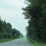 IMG1588.jpg